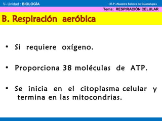 • Si requiere oxígeno.
• Proporciona 38 moléculas de ATP.
• Se inicia en el citoplasma celular y
termina en las mitocondrias.
V- Unidad : BIOLOGÍA
Tema: RESPIRACIÓN CELULAR
I.E.P «Nuestra Señora de Guadalupe»
 