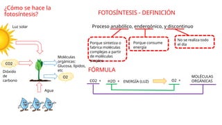 Proceso anabólico, endergónico, y discontinuo
¿Cómo se hace la
fotosíntesis?
CO2
FOTOSÍNTESIS - DEFINICIÓN
Luz solar
Agua
Dióxido
de
carbono
FÓRMULA
Porque sintetiza o
fabrica moléculas
complejas a partir
de moléculas
simples
Porque consume
energía
No se realiza todo
el día
Moléculas
orgánicas:
Glucosa, lípidos,
etc
CO2 +
O2
H2O + ENERGÍA (LUZ)
MOLÉCULAS
ORGÁNICAS
O2 +
 