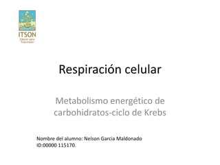 Respiración celular
Metabolismo energético de
carbohidratos-ciclo de Krebs
Nombre del alumno: Nelson Garcia Maldonado
ID:00000 115170.
 