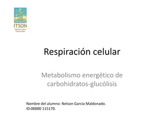 Respiración celular
Metabolismo energético de
carbohidratos-glucólisis
Nombre del alumno: Nelson Garcia Maldonado.
ID:00000 115170.
 