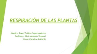 RESPIRACIÓN DE LAS PLANTAS
Nombre: Sayuri Fatima Coquera Aduvire
Profesora: Silvia Janampa Vergarai
Curso: Ciencia y Ambiente
 