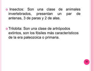     Insectos: Son una clase de animales
    invertebrados, presentan un par de
    antenas, 3 de paras y 2 de alas.

 Trilobita:  Son una clase de artrópodos
    extintos, son los fósiles más característicos
    de la era paleozoica o primaria.
 