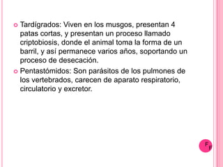  Tardígrados: Viven en los musgos, presentan 4
  patas cortas, y presentan un proceso llamado
  criptobiosis, donde el animal toma la forma de un
  barril, y así permanece varios años, soportando un
  proceso de desecación.
 Pentastómidos: Son parásitos de los pulmones de
  los vertebrados, carecen de aparato respiratorio,
  circulatorio y excretor.




                                                       F
                                                           F
 