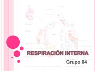 RESPIRACIÓN INTERNA
Grupo 04
 
