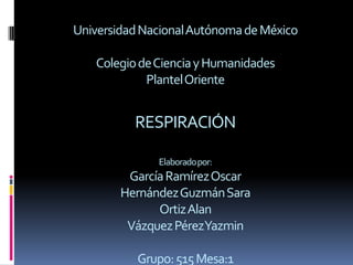 Universidad Nacional Autónoma de México

   Colegio de Ciencia y Humanidades
            Plantel Oriente


          RESPIRACIÓN

              Elaborado por:
         García Ramírez Oscar
        Hernández Guzmán Sara
              Ortiz Alan
         Vázquez PérezYazmin

           Grupo: 515 Mesa:1
 