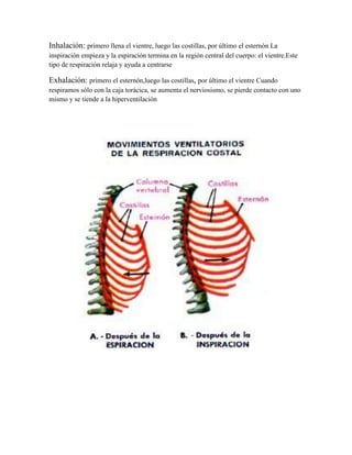 Inhalación: primero llena el vientre, luego las costillas, por último el esternón La
inspiración empieza y la espiración termina en la región central del cuerpo: el vientre.Este
tipo de respiración relaja y ayuda a centrarse

Exhalación: primero el esternón,luego las costillas, por último el vientre Cuando
respiramos sólo con la caja torácica, se aumenta el nerviosismo, se pierde contacto con uno
mismo y se tiende a la hiperventilación
 