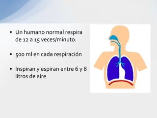 • Un humano normal respira
  de 12 a 15 veces/minuto.

• 500 ml en cada respiración

• Inspiran y espiran entre 6 y 8
  litros de aire
 