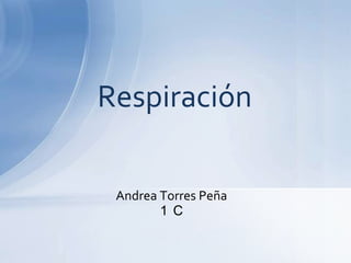 Respiración

 Andrea Torres Peña
        1 C
 