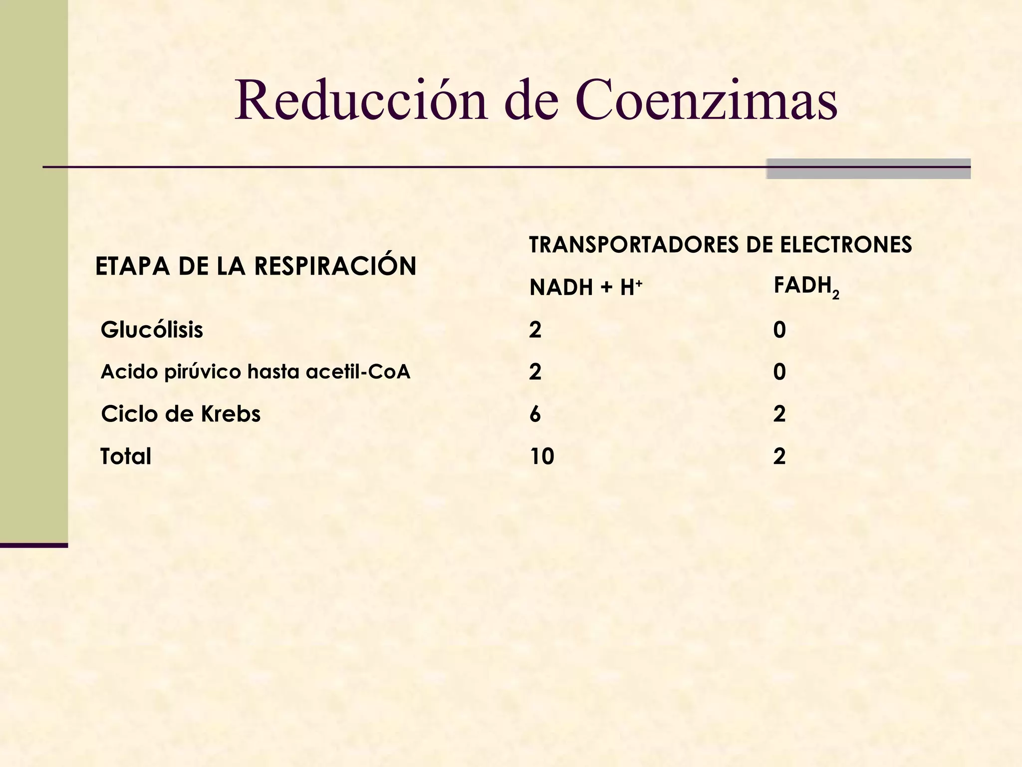 Reducción de Coenzimas

                                   TRANSPORTADORES DE ELECTRONES
ETAPA DE LA RESPIRACIÓN
                                   NADH + H+         FADH2
 Glucólisis                        2                 0
 Acido pirúvico hasta acetil-CoA   2                 0
 Ciclo de Krebs                    6                 2
 Total                             10                2
 