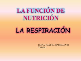 LA FUNCIÓN DE
NUTRICIÓN

ELENA, RAQUEL, ISABEL,LEYDI
Y MANU

 