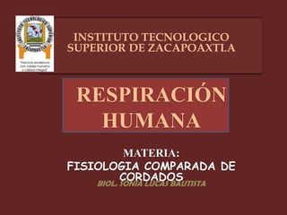 INSTITUTO TECNOLOGICO
SUPERIOR DE ZACAPOAXTLA

RESPIRACIÓN
HUMANA
MATERIA:
FISIOLOGIA COMPARADA DE
CORDADOS
BIOL. SONIA LUCAS BAUTISTA

 
