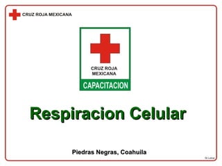 Dr.Lorca Respiracion Celular Piedras Negras, Coahuila 