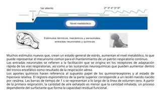 RESPIRACION-PRIMERA RESPIRACION expo.pptx