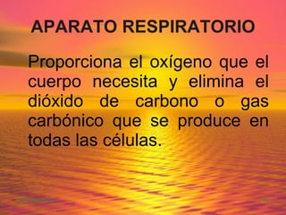 APARATO RESPIRATORIO Proporciona el oxígeno que el cuerpo necesita y elimina el dióxido de carbono o gas carbónico que se produce en todas las células.  