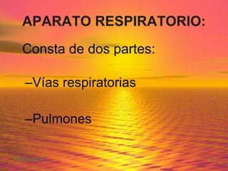 APARATO RESPIRATORIO: Consta de dos partes: Vías respiratorias  Pulmones 