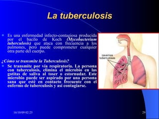 La tuberculosis Es una enfermedad infecto-contagiosa producida por el bacilo de Koch  (Mycobacterium tuberculosis)  que ataca con frecuencia a los pulmones, pero puede comprometer cualquier otra parte del cuerpo. ¿Cómo se transmite la Tuberculosis?  Se transmite por vía respiratoria. La persona con tuberculosis, elimina el microbio en las gotitas de saliva al toser o estornudar. Este microbio puede ser aspirado por una persona sana que esté en contacto frecuente con el enfermo de tuberculosis y así contagiarse. 