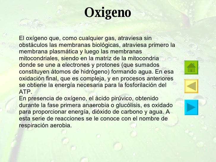 Diferencia Entre Oxigeno Y Aire Medicinal Respiracion5