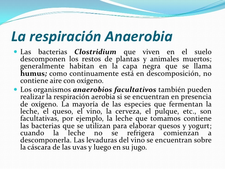 Respiracion aerobia