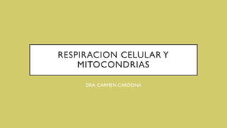 RESPIRACION CELULAR Y
MITOCONDRIAS
DRA. CARMEN CARDONA
 