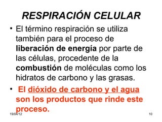RESPIRACIÓN CELULAR
• El término respiración se utiliza
  también para el proceso de
  liberación de energía por parte de
  las células, procedente de la
  combustión de moléculas como los
  hidratos de carbono y las grasas.
• El dióxido de carbono y el agua
  son los productos que rinde este
  proceso.
19/04/12                               10
 