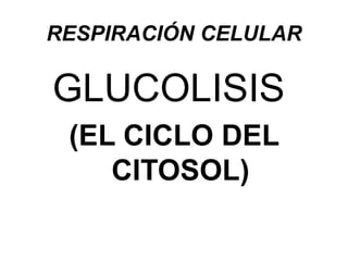 RESPIRACIÓN CELULAR

GLUCOLISIS
 (EL CICLO DEL
    CITOSOL)
 