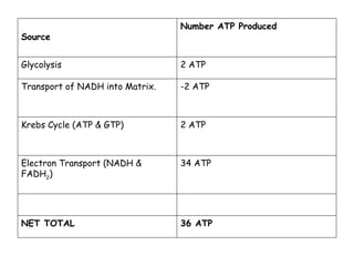 Number ATP Produced
Source


Glycolysis                       2 ATP

Transport of NADH into Matrix.   -2 ATP



Krebs Cycle (ATP & GTP)          2 ATP



Electron Transport (NADH &       34 ATP
FADH2)




NET TOTAL                        36 ATP
 