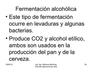 Fermentación alcohólica
• Este tipo de fermentación
  ocurre en levaduras y algunas
  bacterias.
• Produce CO2 y alcohol etílico,
  ambos son usados en la
  producción del pan y de la
  cerveza.
19/04/12   Ing. Agr. Balmore Martínez   34
           Ciencias Agronómicas UES
 