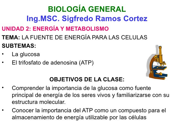 las recetas de la dieta del metabolismo acelerado (colección vital) métodos de mejora