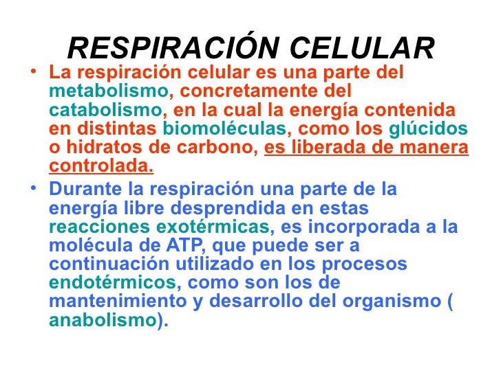Aprender cómo metabolismo de farmacos