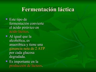 Fermentación láctica <ul><li>Este tipo de fermentación convierte el ácido pirúvico en  ácido láctico . </li></ul><ul><li>A...