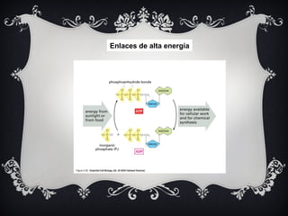 Enlaces de alta energía
 