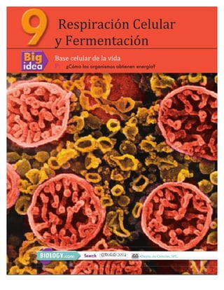 Respiración 
Celular 
y 
Fermentación 
Base 
celular 
de 
la 
vida 
P: ¿Cómo los organismos obtienen energía? 
GAtoledo-2014 •Depto. 
de 
Ciencias, 
SFC. 
1 
 