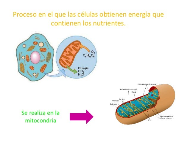 Imagen relacionada