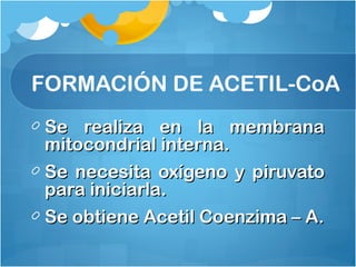 Se realiza en la membranaSe realiza en la membrana
mitocondrial interna.mitocondrial interna.
Se necesita oxígeno y piruvatoSe necesita oxígeno y piruvato
para iniciarla.para iniciarla.
Se obtiene Acetil Coenzima – A.Se obtiene Acetil Coenzima – A.
FORMACIÓN DE ACETIL-CoA
 