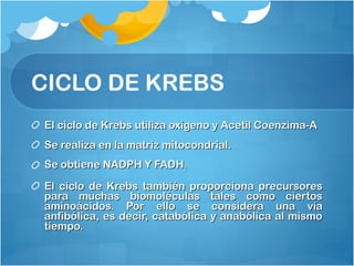 El ciclo de Krebs utiliza oxígeno y Acetil Coenzima-AEl ciclo de Krebs utiliza oxígeno y Acetil Coenzima-A
Se realiza en la matriz mitocondrial.Se realiza en la matriz mitocondrial.
Se obtiene NADPH Y FADHSe obtiene NADPH Y FADH22
El ciclo de Krebs también proporciona precursoresEl ciclo de Krebs también proporciona precursores
para muchas biomoléculas tales como ciertospara muchas biomoléculas tales como ciertos
aminoácidos. Por ello se considera una víaaminoácidos. Por ello se considera una vía
anfibólica, es decir, catabólica y anabólica al mismoanfibólica, es decir, catabólica y anabólica al mismo
tiempo.tiempo.
CICLO DE KREBS
 