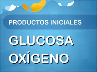 PRODUCTOS INICIALES
GLUCOSAGLUCOSA
OXÍGENOOXÍGENO
 