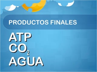PRODUCTOS FINALES
ATPATP
COCO22
AGUAAGUA
 