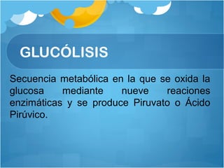 Secuencia metabólica en la que se oxida la
glucosa mediante nueve reaciones
enzimáticas y se produce Piruvato o Ácido
Pirúvico.
GLUCÓLISIS
 