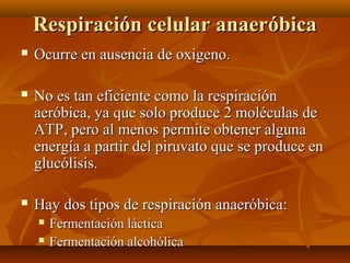 Respiración celular anaeróbicaRespiración celular anaeróbica
 Ocurre en ausencia de oxigeno.Ocurre en ausencia de oxigeno...