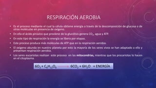 CICLO DE KREBS
Es el conjunto de reacciones químicas
que ocurre en las células eucariotas
durante la respiración aerobia. ...