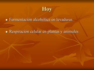 Hoy
 Fermentación alcohólica en levaduras
 Respiración celular en plantas y animales
 