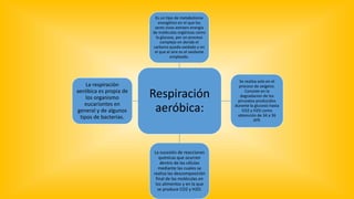 Respiración
aeróbica:
Es un tipo de metabolismo
energético en el que los
seres vivos extraen energía
de moléculas orgánicas como
la glucosa, por un proceso
complejo en donde el
carbono queda oxidado y en
el que el aire es el oxidante
empleado.
Se realiza solo en el
proceso de oxigeno.
Consiste en la
degradacion de los
piruvatos producidos
durante la glucosis hasta
CO2 y H2O como
obtención de 34 a 36
ATP.
La sucesión de reacciones
químicas que ocurren
dentro de las células
mediante las cuales se
realiza las descomposición
final de las moléculas en
los alimentos y en la que
se produce CO2 y H2O.
La respiración
aeróbica es propia de
los organismo
eucariontes en
general y de algunos
tipos de bacterias.
 