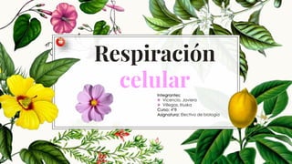 Respiración
celularIntegrantes:
Vicencio, Javiera
Villegas, Iriuska
Curso: 4°B
Asignatura: Electivo de biología
 