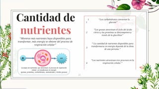 Cantidad de
nutrientes
21
“Mientras más nutrientes haya disponibles para
transformar, más energía se obtiene del proceso de
respiración celular”
1
1
“Los carbohidratos convierten la
glucosa”
2
“Las grasas atraviesan el ciclo del ácido
cítrico y las proteínas se descomponen a
través de la glucólisis”
3
“ La cantidad de nutrientes disponibles para
transformarse en energía depende de la dieta
de una persona.”
4
“Los nutrientes atraviesan tres procesos en la
respiración celular.”
 