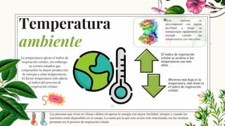Temperatura
ambiente
◉Las enzimas se
descomponen con mayor
facilidad y luego se
transforman rápidamente en
energía cuando las
temperaturas son más altas.
22
El índice de respiración
celular se acelera si las
temperaturas son más
altas.
Mientras más baja es la
temperatura, más lento es
el índice de respiración
celular.
◉ Las personas que viven en climas cálidos recuperan la energía con mayor facilidad, siempre y cuando los
nutrientes estén disponibles en el cuerpo. La razón por la que esto ocurre está relacionada con las enzimas
presentes en el proceso de respiración celular.
La temperatura afecta el índice de
respiración celular, sin embargo,
no existen estudios que
comprueben la mayor producción
de energía a altas temperaturas.
El factor temperatura sólo afecta
el índice del proceso de
respiración celular.
 