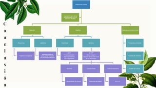 26
C
o
n
c
l
u
s
i
ó
n
Respiración Celular
Reacción
Bioquímica
Orgánico a inorgánico
catabólica
energía a partir de
compuestos formados
por procesos anabólicos
Clasifica
Anaeróbica
2ATP
No ocupa oxigeno
Algunas bacterias
En el citoplasma
Aeróbica
36 ATP
Ocupa oxigeno
mayoría de los seres vivos
En la mitocondria
Glicolisis
Rompimiento de glucosa
Ciclo de Krebs
Obtención de oxigeno
Cadena respiratoria
ATP y H
Factores que inciden en ella
Temperatura ambiente
Cantidad de nutrientes
Estado de la célula
respiración de la célula
convirtiendo el ATP en
adenosín difosfato
 