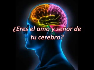Respiracion cerebral