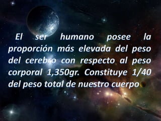 Respiracion cerebral