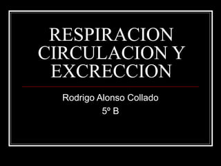 RESPIRACION
CIRCULACION Y
EXCRECCION
Rodrigo Alonso Collado
5º B
 