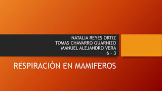 NATALIA REYES ORTIZ
TOMAS CHAVARRO GUARNIZO
MANUEL ALEJANDRO VERA
6 – 3
RESPIRACIÒN EN MAMIFEROS
 